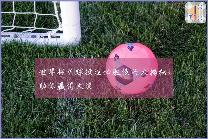 世界杯买球投注必胜技巧大揭秘，助你赢得大奖