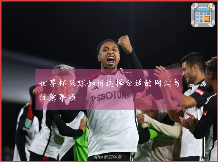 世界杯买球如何选择合适的网站与注意事项