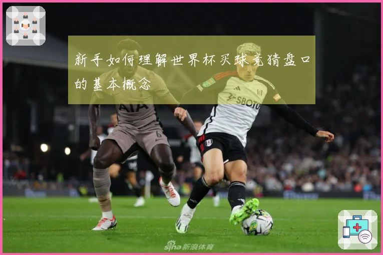新手如何理解世界杯买球竞猜盘口的基本概念