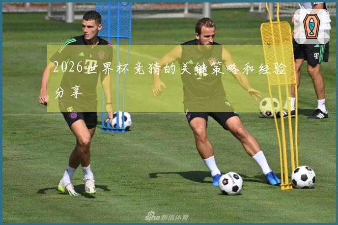 2026世界杯竞猜的关键策略和经验分享