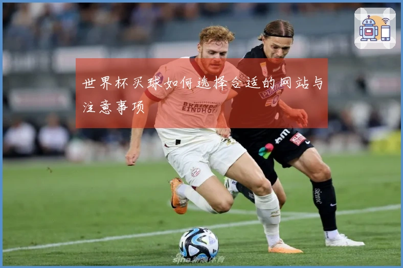 世界杯买球如何选择合适的网站与注意事项