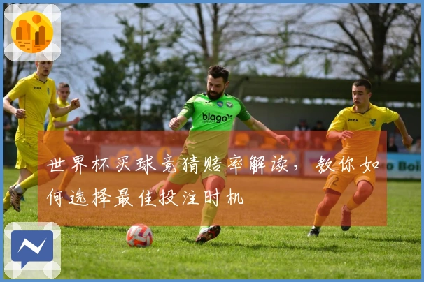 世界杯买球竞猜赔率解读，教你如何选择最佳投注时机