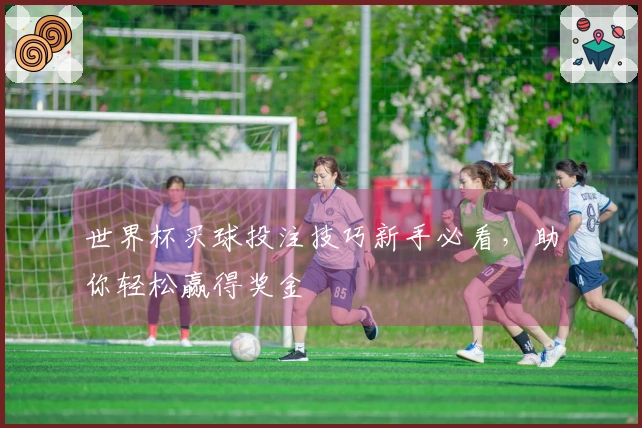 世界杯买球投注技巧新手必看，助你轻松赢得奖金
