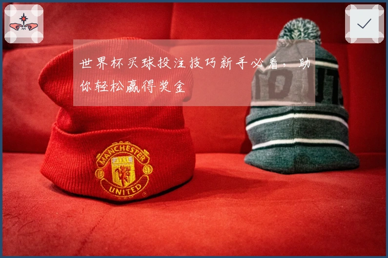 世界杯买球投注技巧新手必看，助你轻松赢得奖金